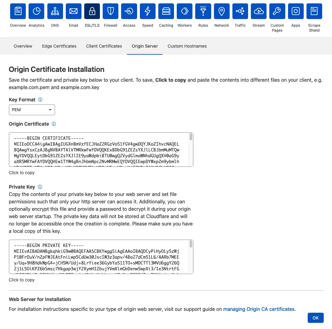 Screenshot of the origin certificate and it's private key